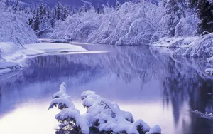 雪景图片大全大图_10