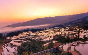 云南元阳梯田图片_6