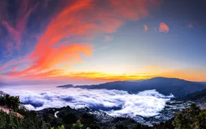 云南元阳梯田图片_7