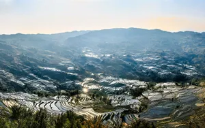 云南元阳梯田图片_8
