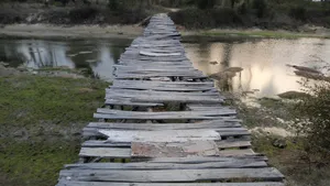 木桥图片_8