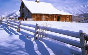 雪中的小木屋图片_3