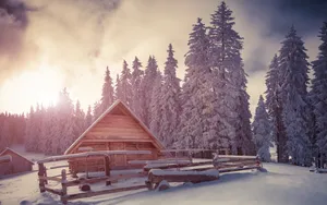 雪中的小木屋图片_4