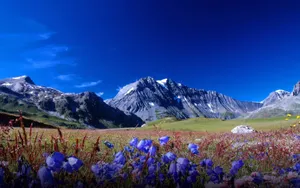 高清美景图片电脑壁纸_14