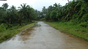柏油公路图片_6
