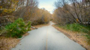 柏油公路图片_9