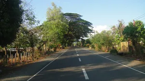 柏油公路图片_12