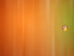 Vista主题 第五辑_16