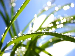 Vista绿色 第五辑_14