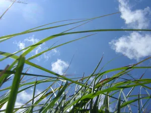 Vista绿色 第五辑_15