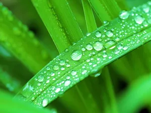 Vista绿色 第三辑_8