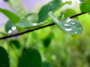 Vista绿色 第一辑_11