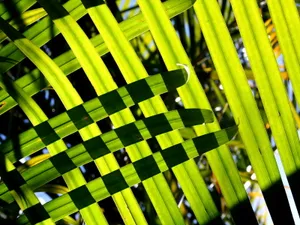 Vista绿色 第一辑_12