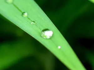 Vista绿色 第一辑_17