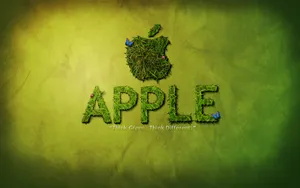 Apple主题 第81辑_16