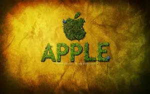 Apple主题 第81辑_17