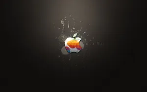 Apple主题 第80辑_19