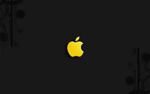 Apple主题 第77辑_11