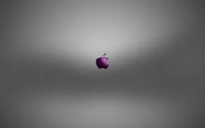 Apple主题 第77辑_14