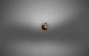 Apple主题 第77辑_15