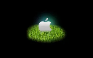 Apple主题 第75辑_8