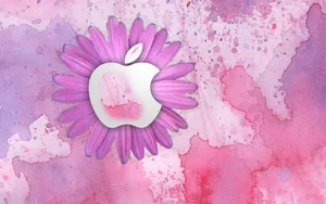 Apple主题 第71辑_9