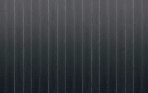 Snow Leopard自带 第二辑_10