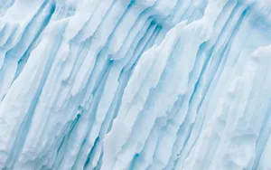 Snow Leopard自带 第一辑_3