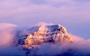Snow Leopard自带 第一辑_7