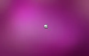 Apple主题 第64辑_10