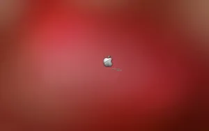 Apple主题 第64辑_11