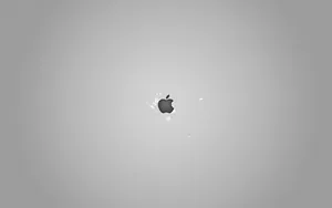 Apple主题 第63辑_5