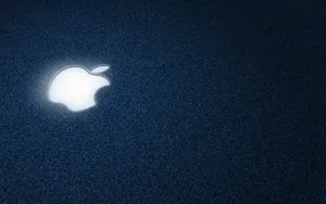 Apple主题 第63辑_10