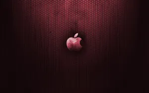 Apple主题 第59辑_3