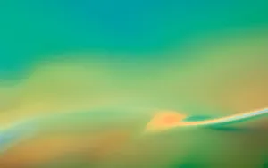 OS X系统自带 第一辑_13