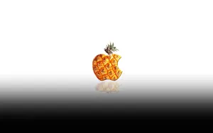 Apple主题 第58辑_6