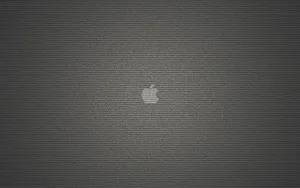 Apple主题 第57辑_4