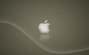 Apple主题 第57辑_13