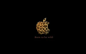 Apple主题 第56辑_11