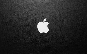 Apple主题 第55辑_11