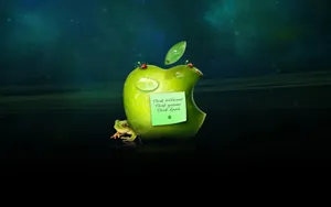Apple主题 第53辑_4