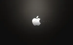 Apple主题 第51辑_8