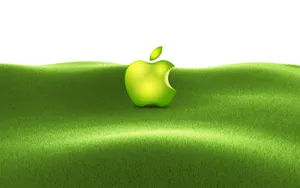Apple主题 第49辑_2