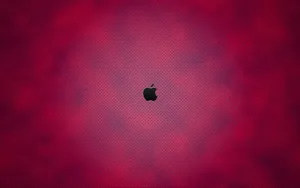 Apple主题 第47辑_2