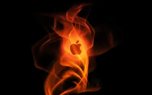 Apple主题 第47辑_15