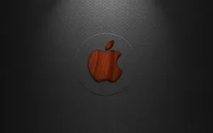 Apple主题 第46辑_12