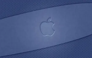 Apple主题 第45辑_5