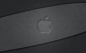 Apple主题 第45辑_6