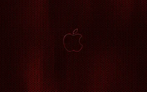 Apple主题 第44辑_18
