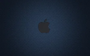 Apple主题 第44辑_19